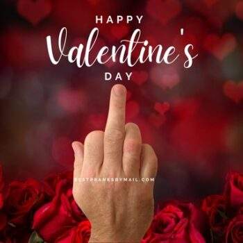 Happy Valentine's Day Middle Finger!